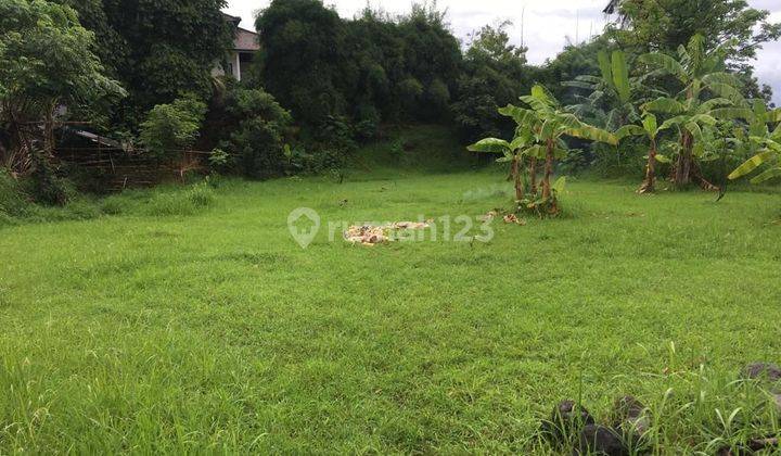 Jual Cepat Tanah Kavling Ds Selat Buleleng Bali, Luas 7.6 Are SHM 1