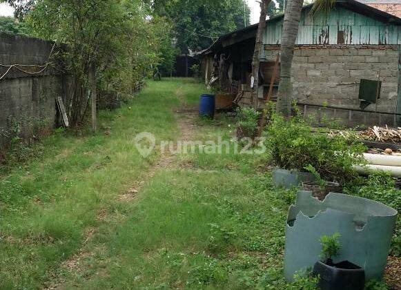 Jual Tanah 2.230m² di Kapuk Kamal Muara Surat Shm, Siap Bangun 1