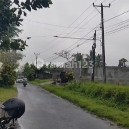 Jual Tanah Ubud Bali Lokasi Pinggir Jalan Utamaluas 19,7 Are Jual Tanah Ubud Bali Lokasi Pinggir Jalan Utamaluas 19,7 Are