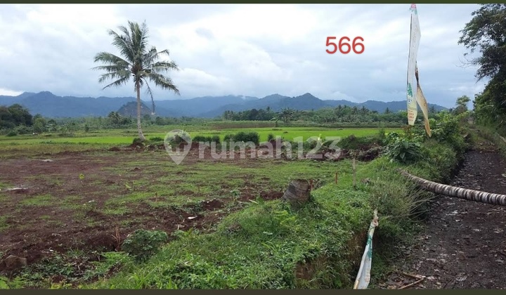 For Sale: Land in Ciseeng Bogor 8.5ha, Ideal for Investment, Roadside, Near Jorr3 Toll Gate. For Sale: Land in Ciseeng Bogor 8.5ha, Ideal for Investment, Roadside, Near Jorr3 Toll Gate.