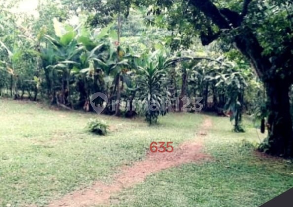 For Sale Land in Limo Depok, Shape of the Land: Ngantong, Residential Area Near Toll Road For Sale Land in Limo Depok, Shape of the Land: Ngantong, Residential Area Near Toll Road