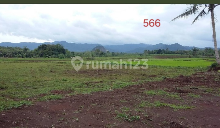 For Sale: Land in Ciseeng Bogor 8.5ha, Ideal for Investment, Roadside, Near Jorr3 Toll Gate. For Sale: Land in Ciseeng Bogor 8.5ha, Ideal for Investment, Roadside, Near Jorr3 Toll Gate.