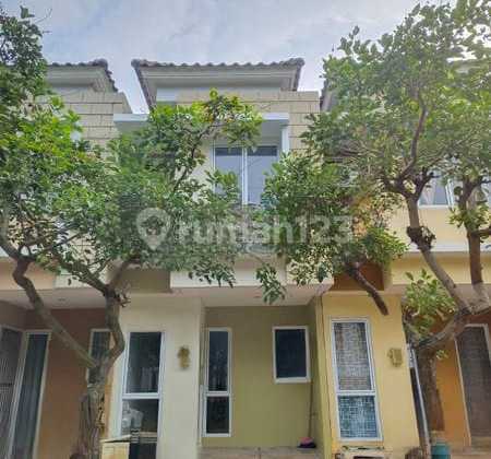 Dijual Rumah dua lantai Compact Virginia lingkungan asri harga terjangkau di gading serpong dekat mall sumarecon serpong, sekolah dan fasilitas umum