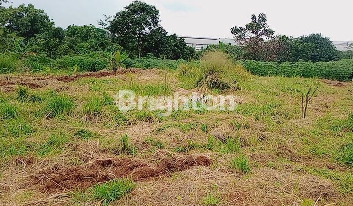TANAH KAVLING BOGOR SAWANGAN DEPOK MURAH DAN STRATEGIS 1