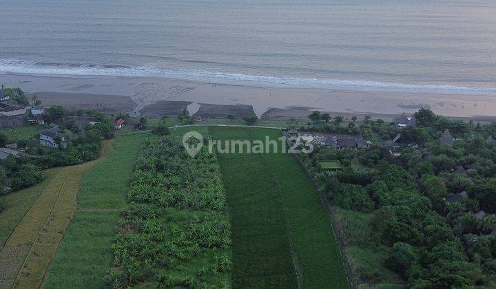 TANAH LUAS DI TEPI PANTAI YEH GANGGA BEACHFRONT 2