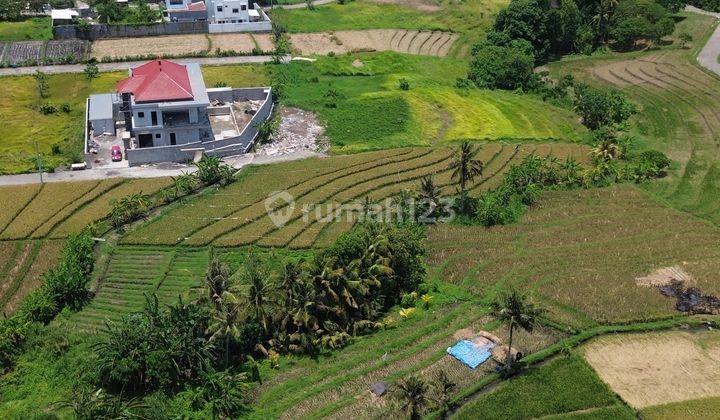 Tanah 9 Are Dekat Pantai Kedungu Cocok Untuk Villa 1