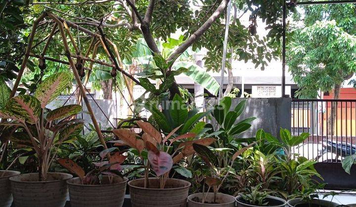 Dijual Rumah Lama Posisi Hook Di Cicadas Antapani  2