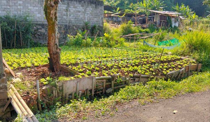 Tanah Murah Siap Bangun Strategis Di Lembah Sukasari 1