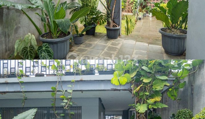 Minimalist Contemporary Tropical House Ready to Occupy in Setiabudi 2