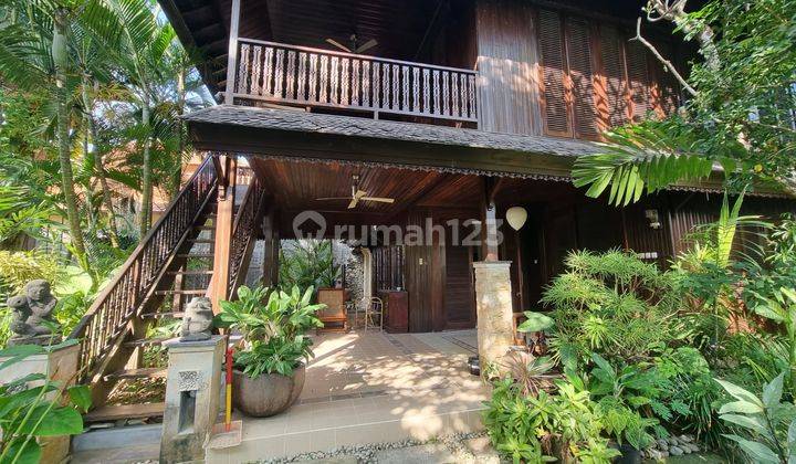 Rumah Villa 3 Kamar Baru Furnished, Sbp 918 2