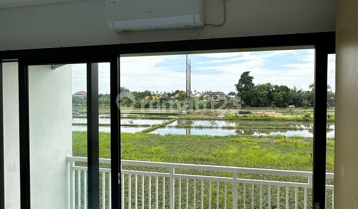 1Br House Sanur Area, Yearly Rental [Sbp 1488] 2