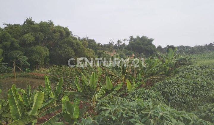 Di  Cepat Dan Murah Tanah Di Tajur Halang Bogor  Jawa Barat 1