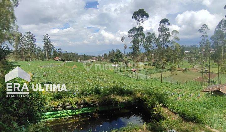 Dijual Tanah Murah di Ciwidey, Bandung jarang ada 3