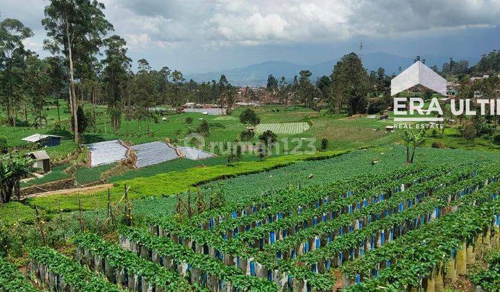 Dijual Tanah Murah di Ciwidey, Bandung jarang ada 4