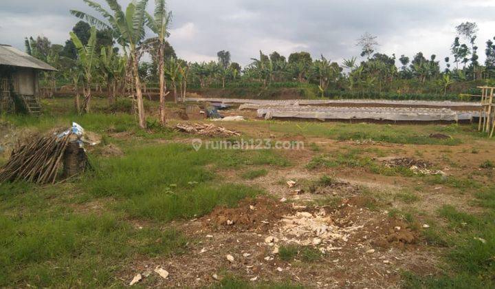 Tanah di Cilawu, Garut SHM 10.000 m² Cocok Utk Cluster 1