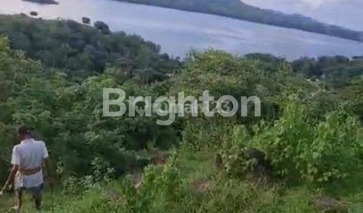 LAND FOR SALE IN LABUAN BAJO 2