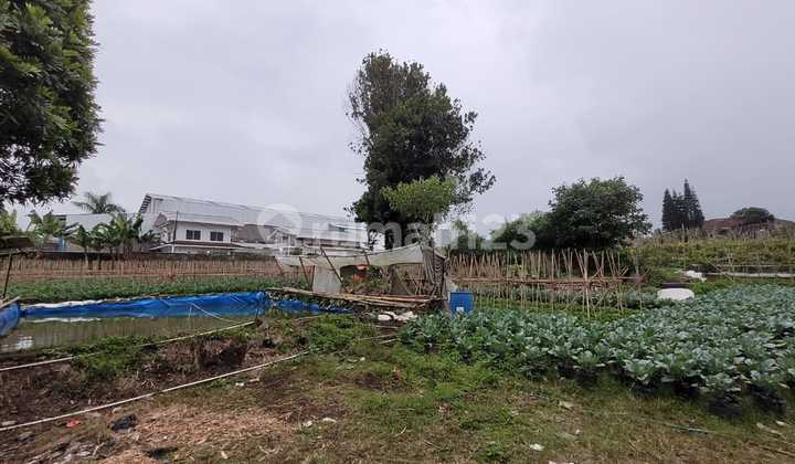 Good Deal Tanah Lembang Mainroad Murah Good Deal Tanah Lembang Mainroad Murah