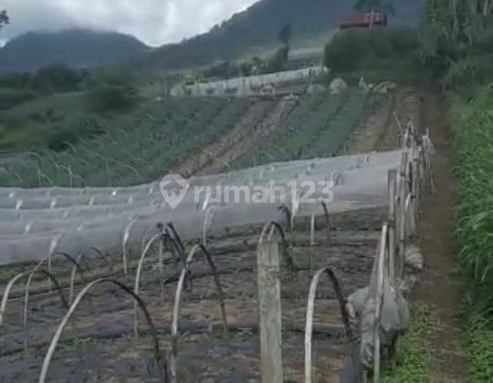 Land At Bedugul Bali 1