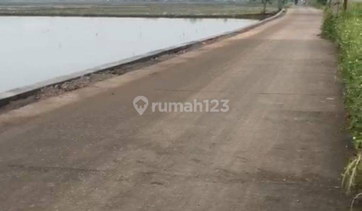 Tanah Cikoneng Bojongsoang Hanya Rp 1,2jt Per M  2