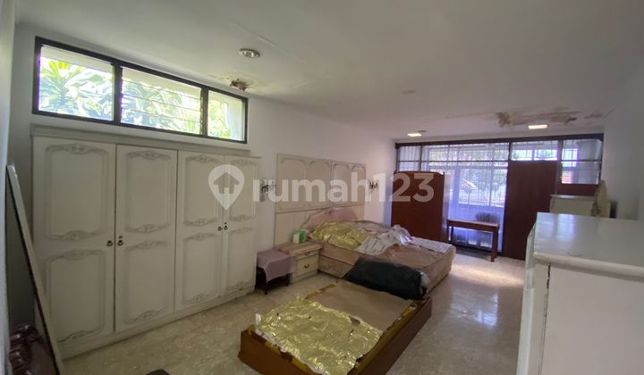 Turun Harga Good Deal Sayap Riau Langka Cocok untuk Usaha Turun Harga Good Deal Sayap Riau Langka Cocok untuk Usaha