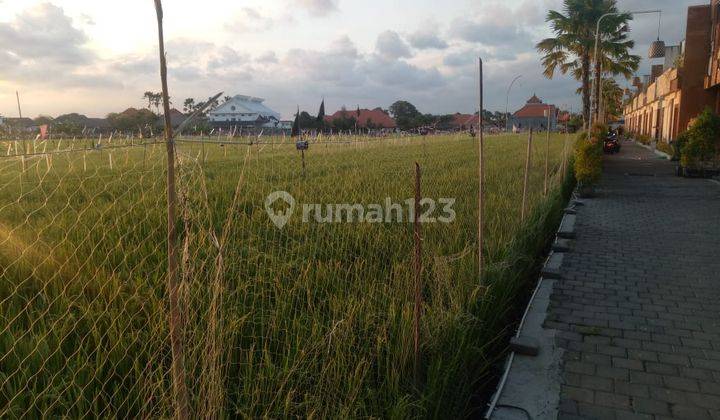 Land Batu Belig Canggu, Bali 2