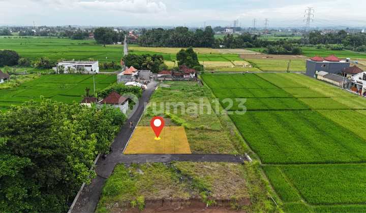 Own a piece of paradise in Kedungu, Bali at an exclusive Sale Price!