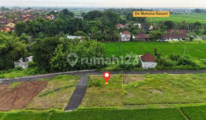 Own a piece of paradise in Kedungu, Bali at an exclusive Sale Price!