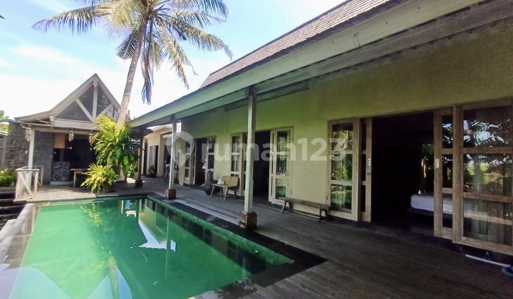 Villa View Sungai & Sawah di Pantai Purnama - Sunset View 2