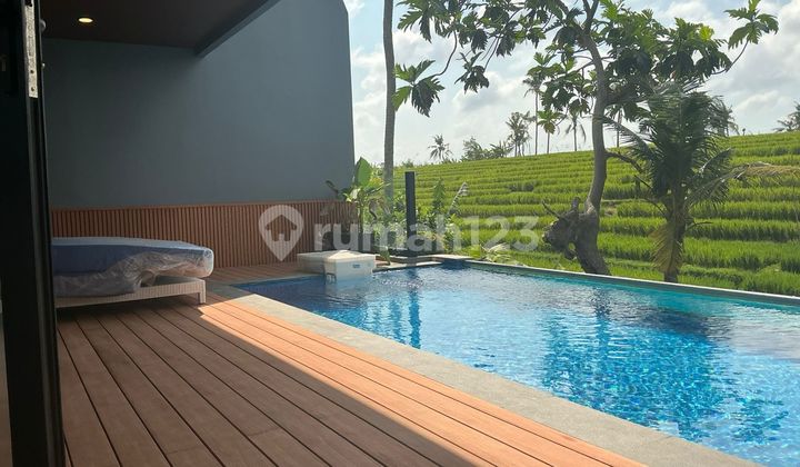Best Ricefields View Villa Canggu With Infinity Pool Best Ricefields View Villa Canggu With Infinity Pool