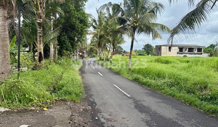 Dijual Tanah Hook Lod Tunduh Ubud Best Location 