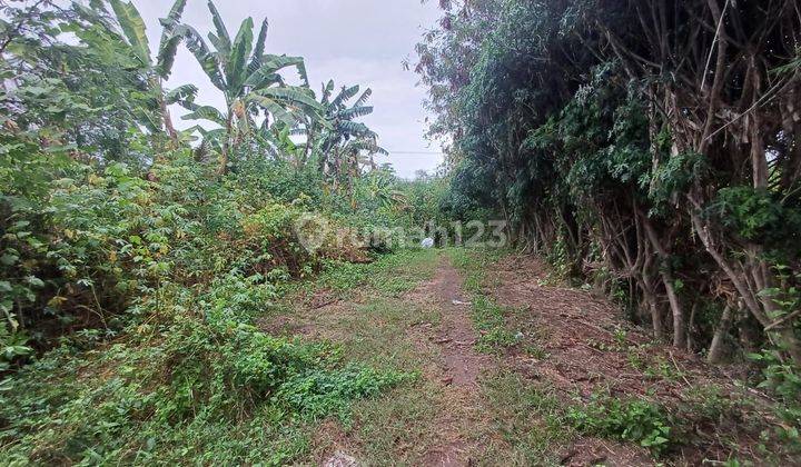 TANAH VIEW SAWAH DAN LAUT MEDAHAN DI KERAMAS GIANYAR 2