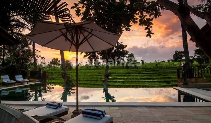 Luxury Villa Canggu Near Berawa Beach Ricefields View 2