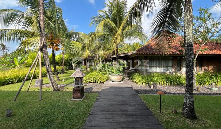 Luxury Villa Joglo With Ricefields View Near Nuanu 2