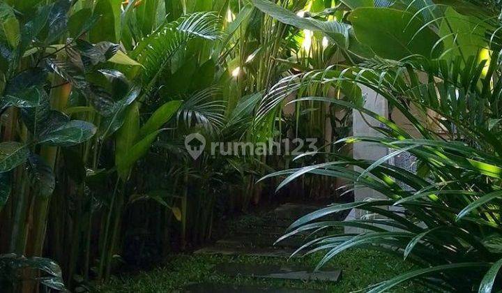 Rumah Cantik Denpasar Barat Fully Furnished Dekat Canggu 2