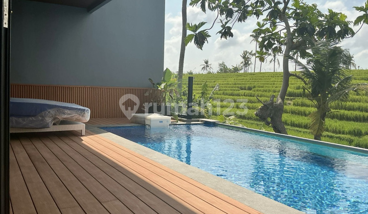 Best Ricefields View Villa Canggu With Infinity Pool