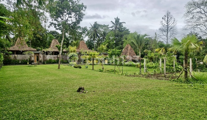 Freehold Joglo Villa Investment in Ubud | 22.7 Are Yellow Zone Freehold Joglo Villa Investment in Ubud | 22.7 Are Yellow Zone