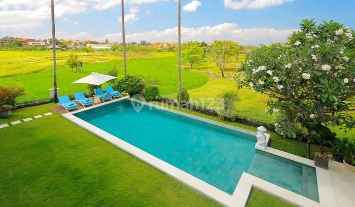 Villa Canggu Ricefields View Fully Furnished Best Investment  1