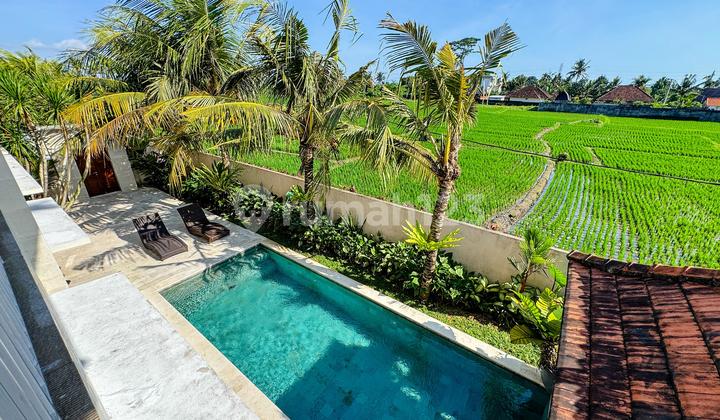 Ready Unit Villa Near Tanah Lot With Rice Fields View Ready Unit Villa Near Tanah Lot With Rice Fields View