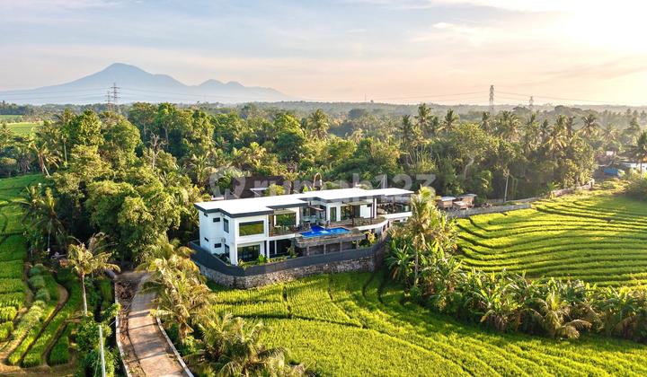 Luxury Villa with Views of the Sea, Rice Fields, and Mountains in Tangguntiti