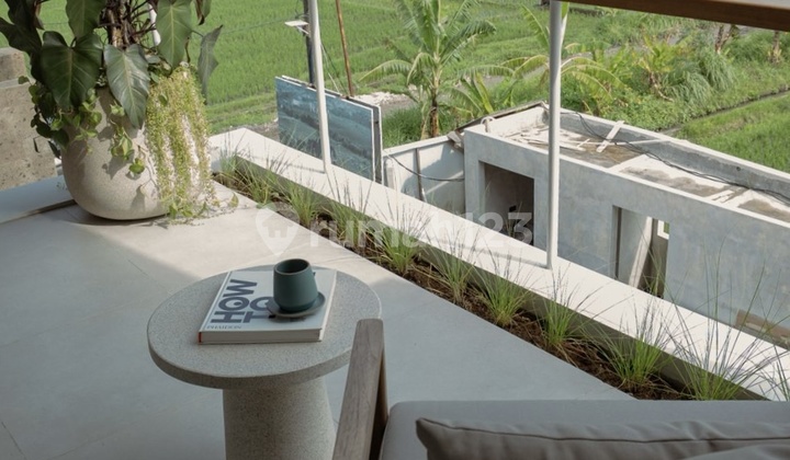 Brand New Villa Canggu View Sawah One Gate System 2