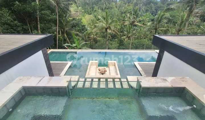 Brand New Villa View Jungle Ubud Tampak Siring 2