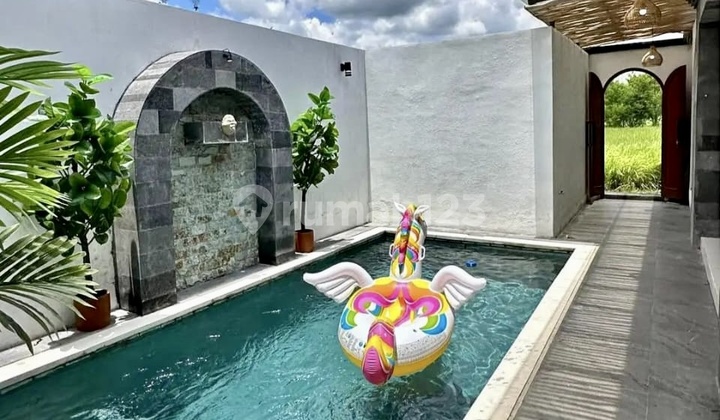 Brand New Villa dengan Kolam Renang di Lodtunduh Ubud