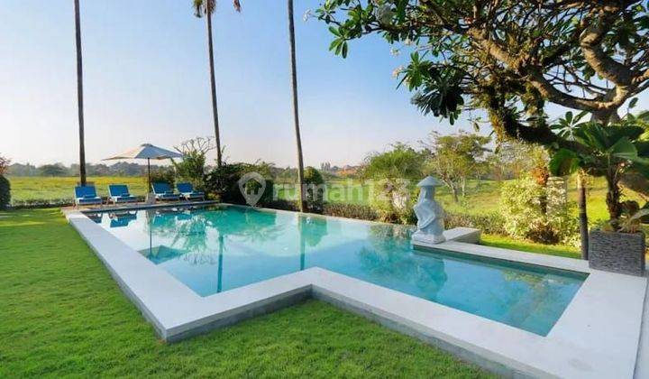 Villa Canggu Ricefields View Fully Furnished Best Investment  2