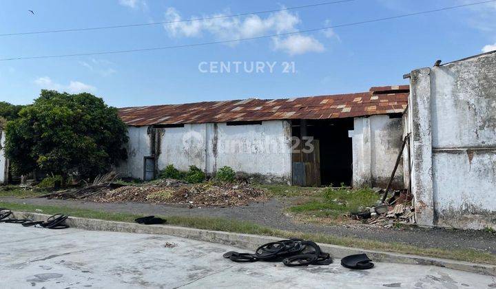 4 GUDANG LUAS BONUS 1 GUDANG GILING DI LUMAJANG JAWA TIMUR 2