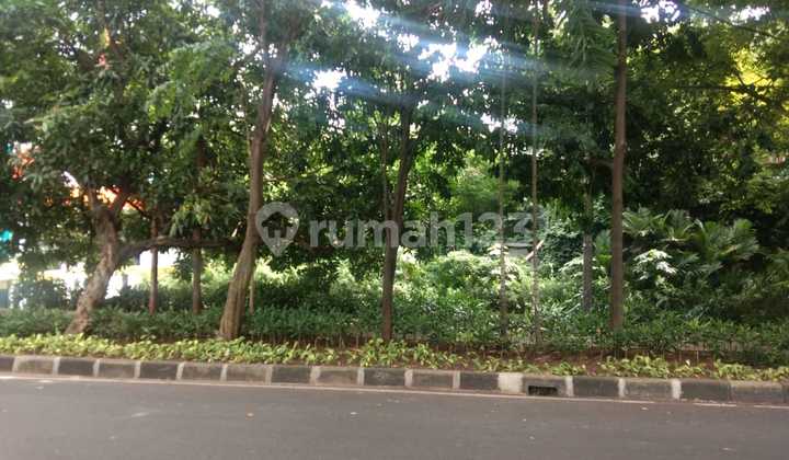 Empty Land in the Menteng Area, Approximately 100 Meters from Diponegoro Street on Surabaya Street, Menteng