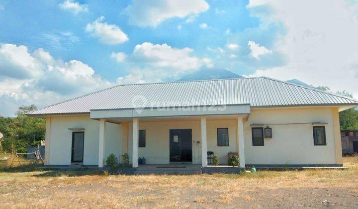 Pabrik Pemotongan Kayu Dijual di Ngoro Mojokerto 9