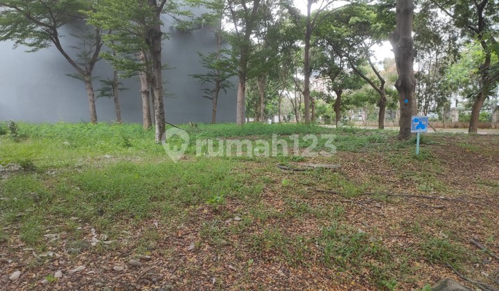 Maina Coast The Green Lot. Corner position, frontmost. Number 1. The best.