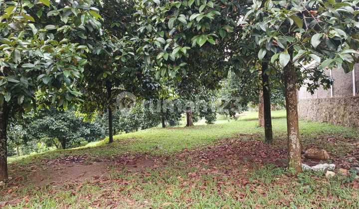 Tanah Murah Dekat ke Presiden Prabowo Bojong Koneng Sentul City