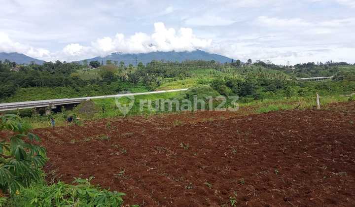 Cheap Land View of Gunung Salak Ciambar Sukabumi Cheap Land View of Gunung Salak Ciambar Sukabumi