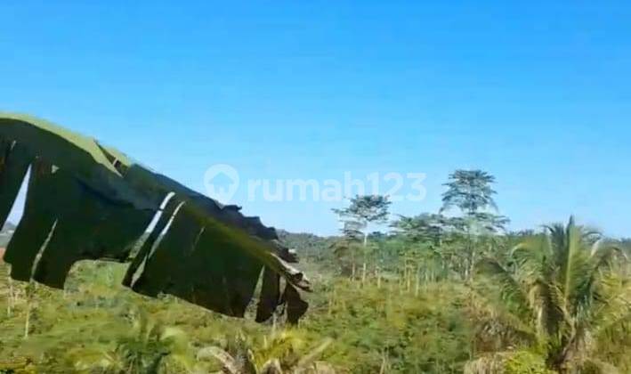 Land Suitable for Housing & Tourism in Cikidang Sukabumi